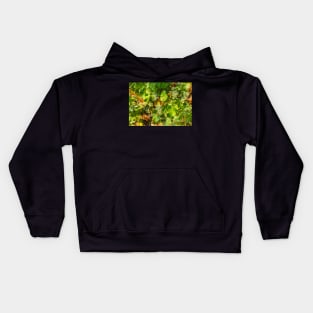 Ripening grapes on the vine Kids Hoodie